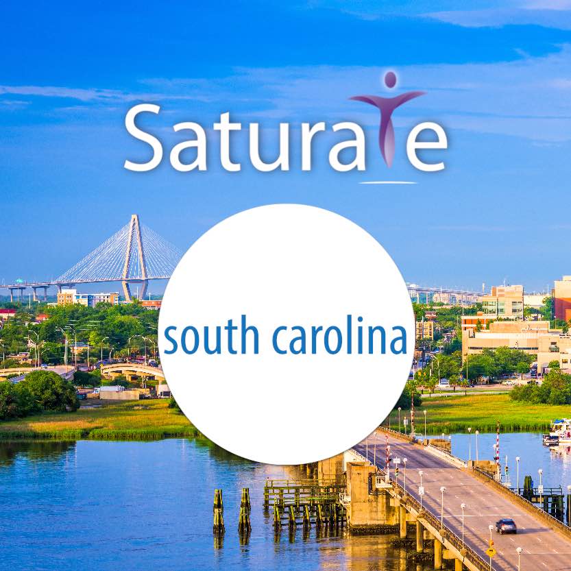 South Carolina Icon